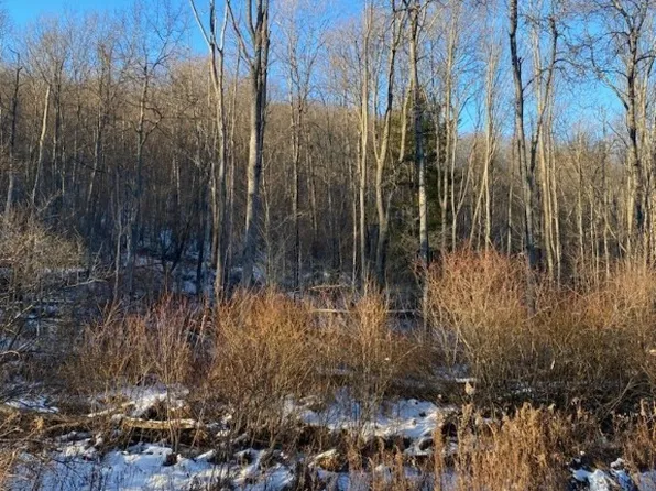 0 Tram Hollow Rd #3, Duke Center, PA 16729