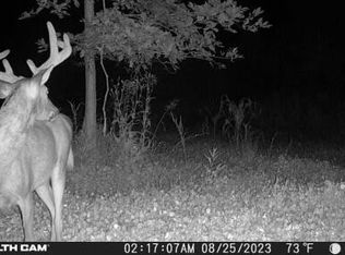 V/l 180th Ave, Stanwood, MI 49346