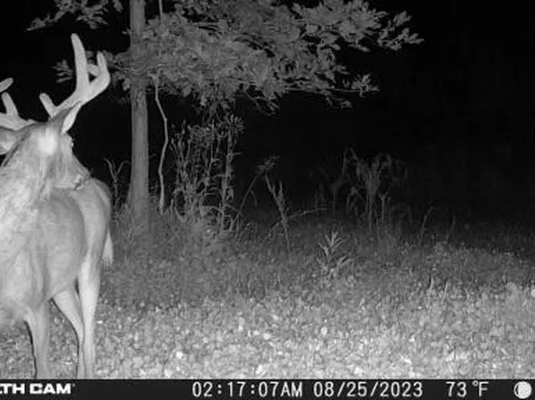 V/l 180th Ave, Stanwood, MI 49346