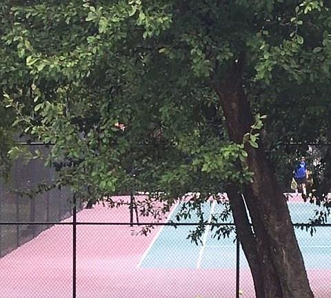 5th image of 9349 Sagrada Park #12