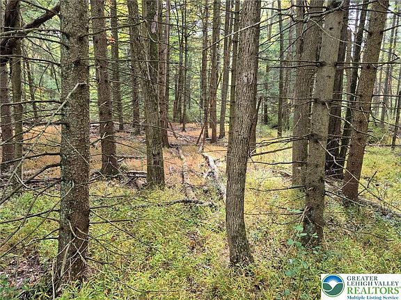 2nd image of Millheim Road Moore Twp