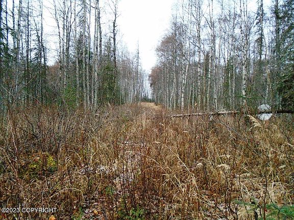 5th image of 32292 S Talkeetna Spur