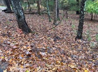 264 Zenith Trl, Ellijay, GA 30540