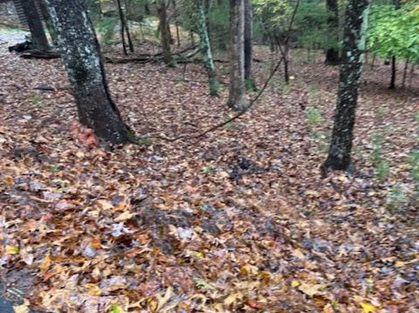 264 Zenith Trl, Ellijay, GA 30540