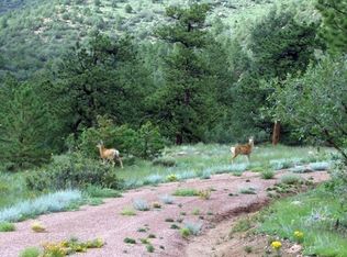 670 Rosebush Rd, Canon City, CO 81212