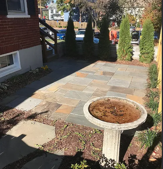 6 W Cecil St — Photo 34