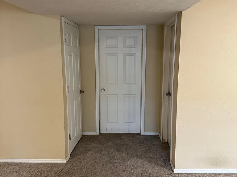Storage under stairs (right ), main Storage door ( Center ) and bathroom door ( left )