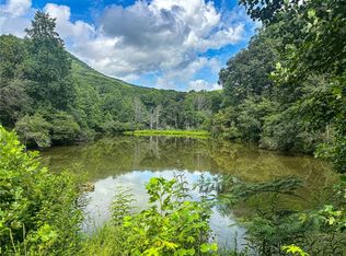 1565 Shoal Creek Rd, Clermont, GA 30527