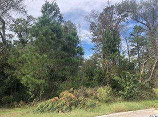 286 Rivers Edge Dr LOT 36, Conway, SC 29526