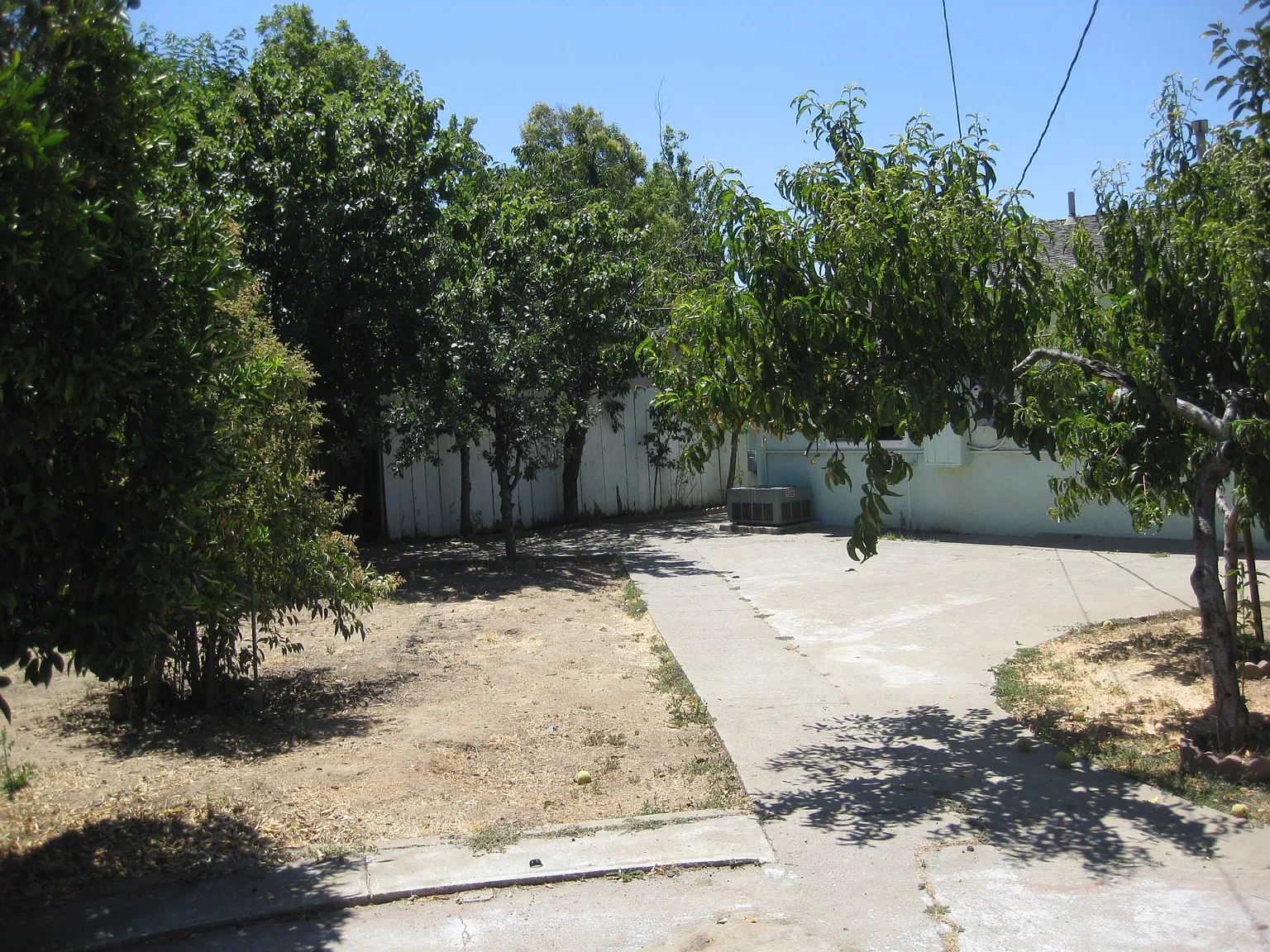 3 bed, 1060 sqft, $4,100 — Photo 3