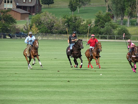 Polo Club
