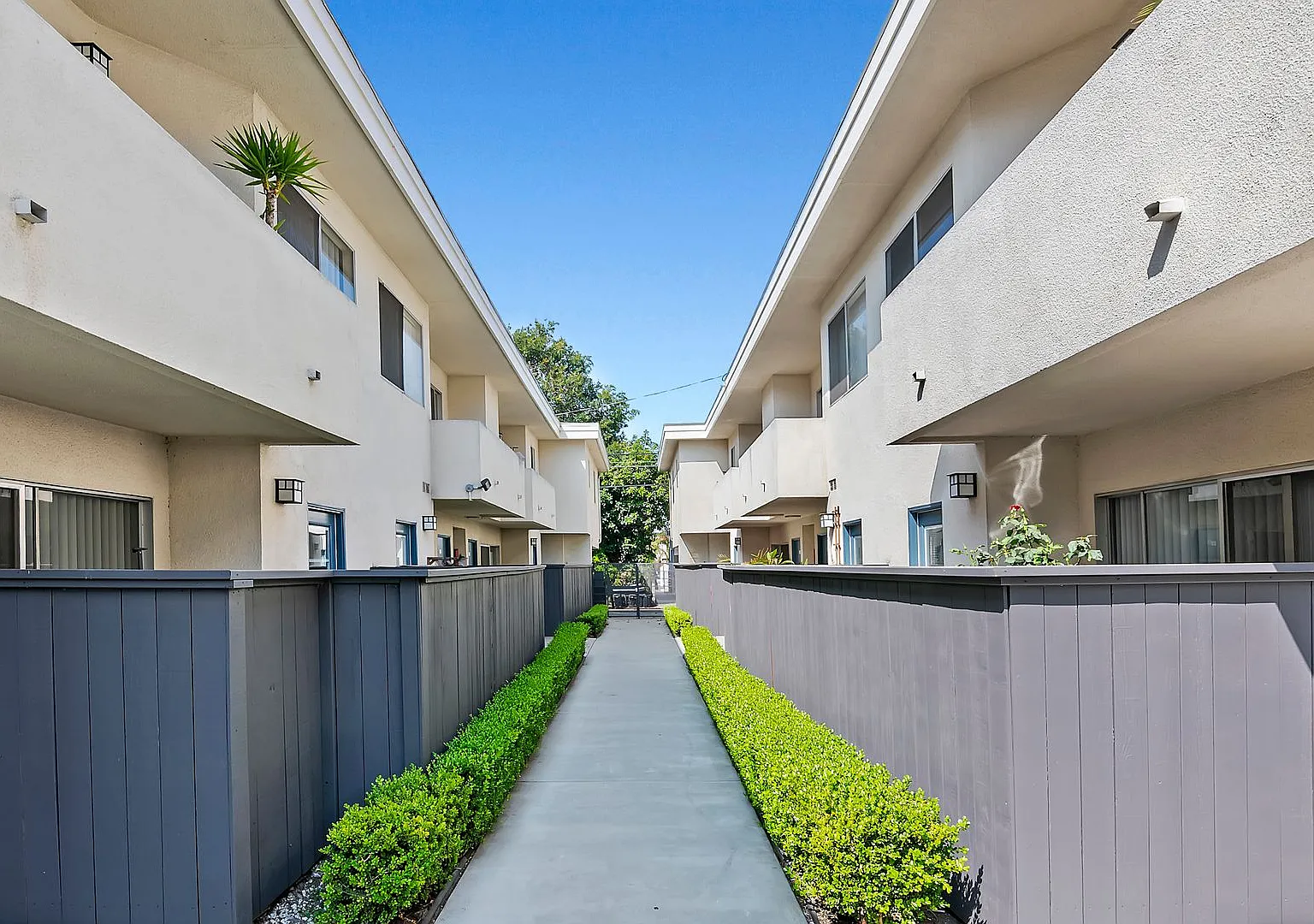 The Jamison — Photo 3