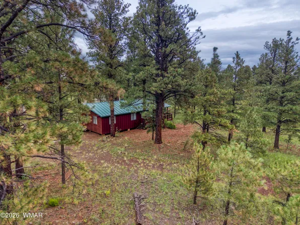 3 County Road N1040 St, Eagar, AZ 85925