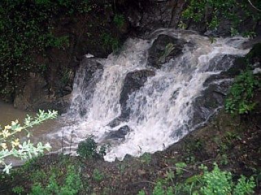 Year-round Creek steps below
