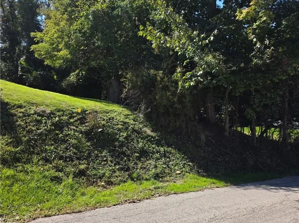 Young Ln, Saint Clairsville, OH 43950