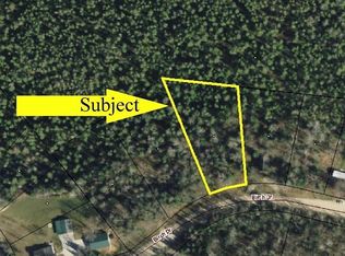 LOT 134 Birch Dr, Wolverine, MI 49799