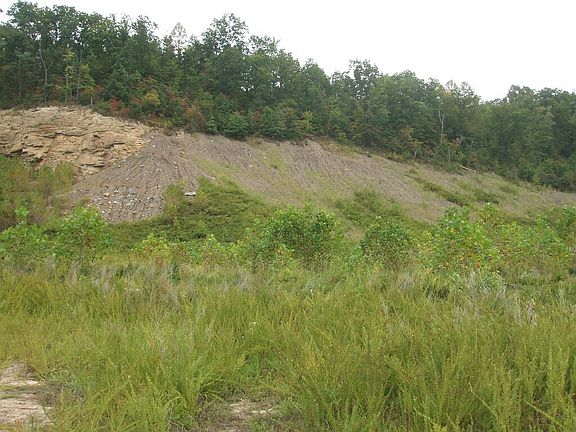 5th image of 0 Jake Wireman Fork Rd #267