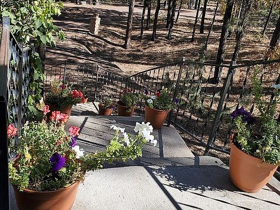 Front walkway