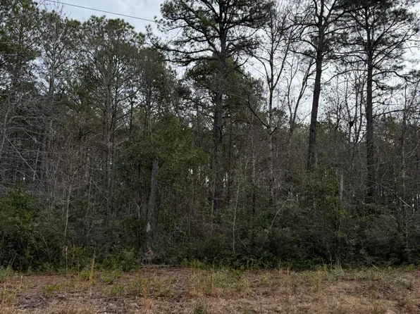 1567 Driftwood Dr SW Lot 24, Ocean Isle Beach, NC 28469