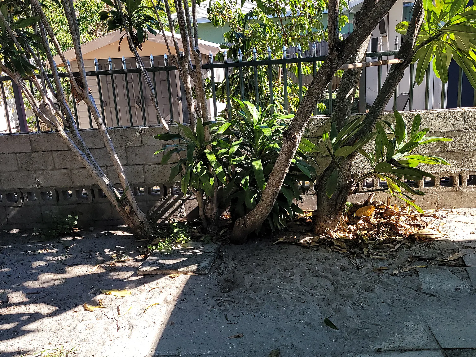 18th St, West Palm Beach — Photo 2