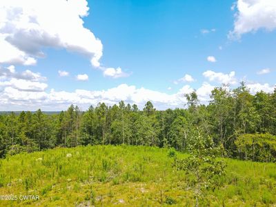 1 Ray Miller Rd, Sugar Tree, TN, 38380