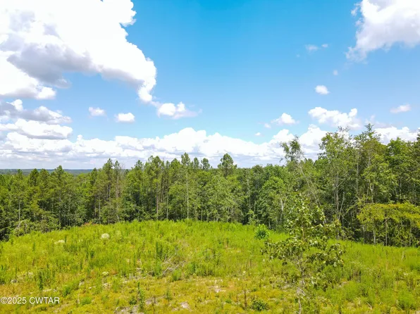 1 Ray Miller Rd, Sugar Tree, TN 38380