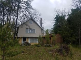 4844 W Unora Park Dr, Baldwin, MI 49304