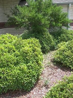 3rd image of 388 County Road 3433