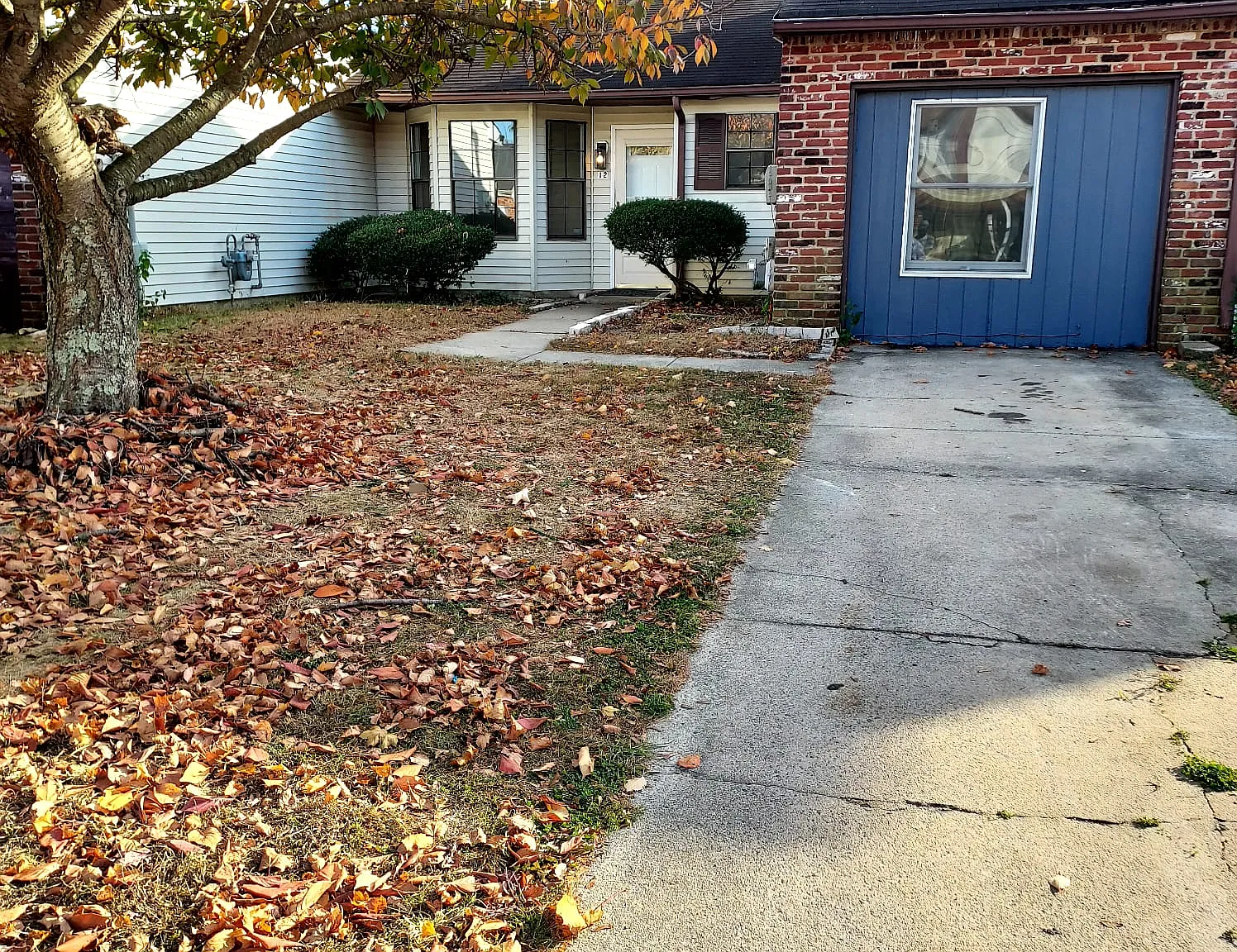 3 bed, 1266 sqft, $2,550 — Photo 2