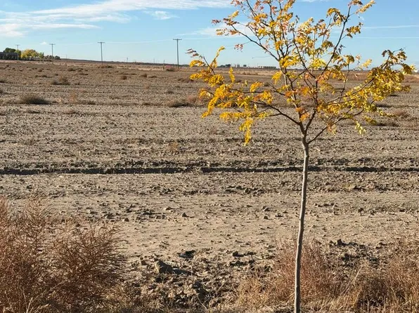 Vacant Land, La Salle, CO 80645