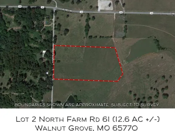 Lot 2 N Farm Road 61, Walnut Grove, MO 65770