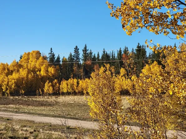 287 Mustang Trl, Hartsel, CO 80449