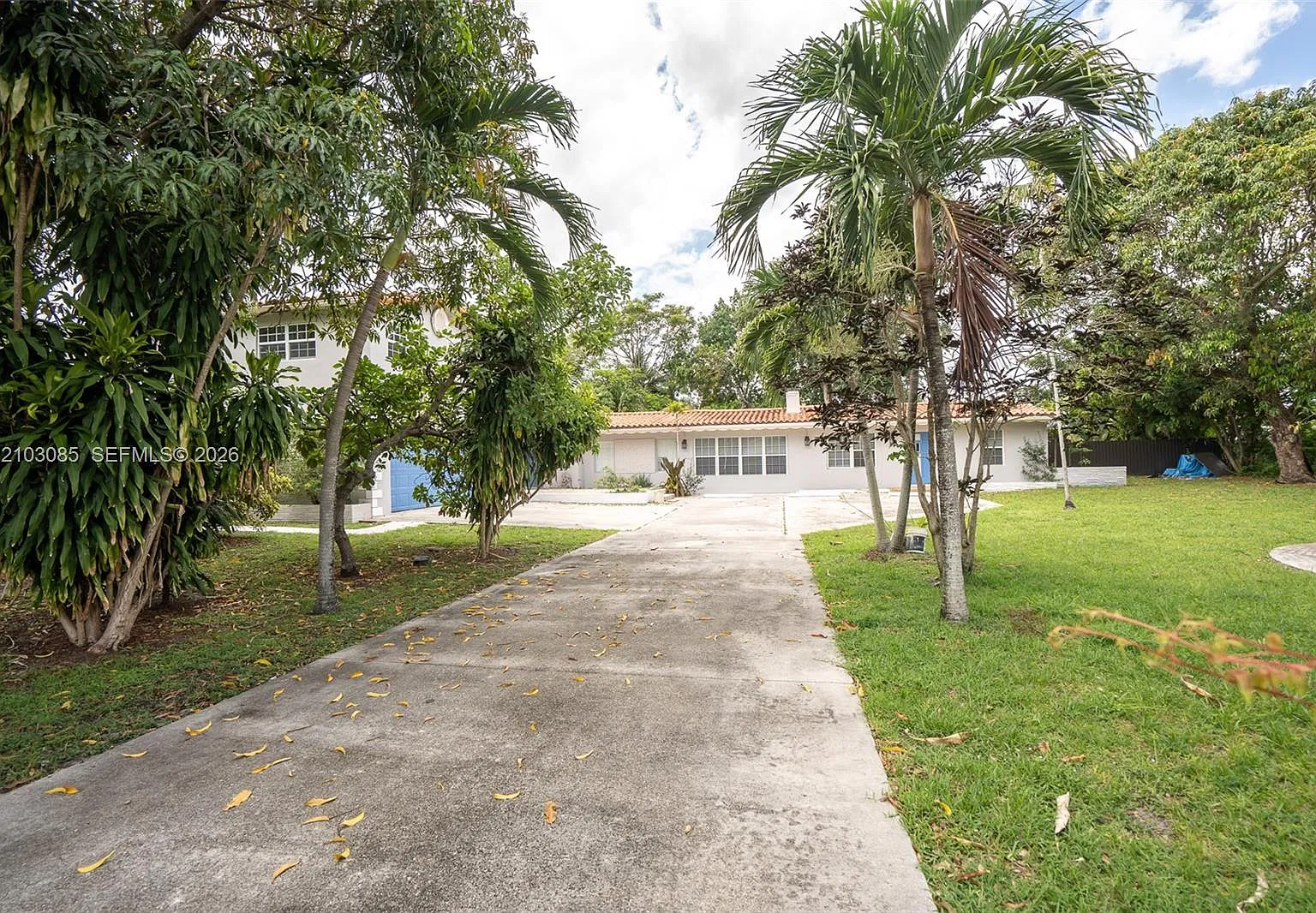Hollywood Beach Gardens — Photo 2