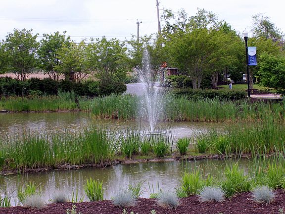 Community Fountain - Rear Yard View