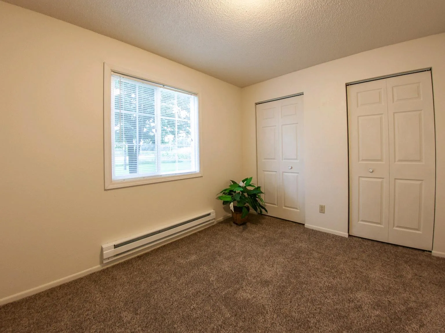 1515 Wall St — Photo 4