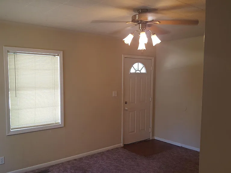 Living room front door and window