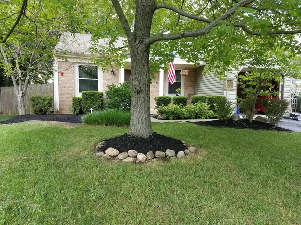 3728 Harborough Dr, Columbus, OH 43230