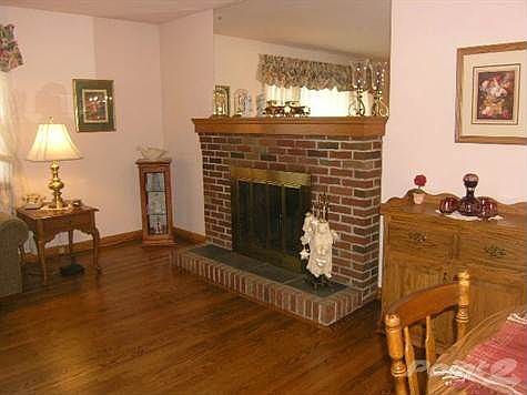 Living Room fireplace