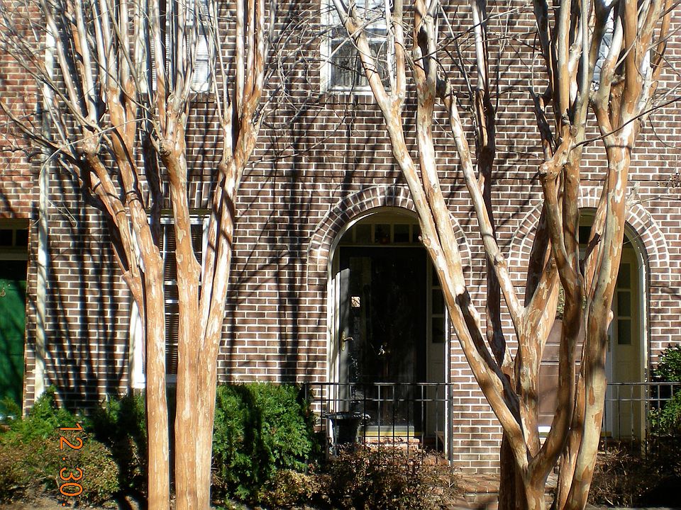 Frnt entrance with courtyard