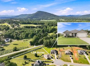 6104 Creekside View Ln, Clermont, GA 30527