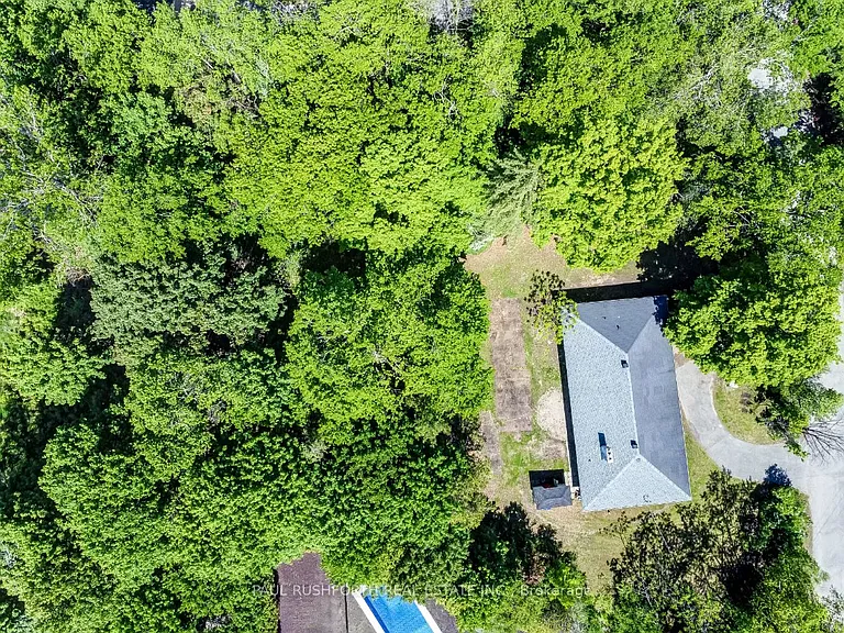10 Cedar Rd — Photo 6