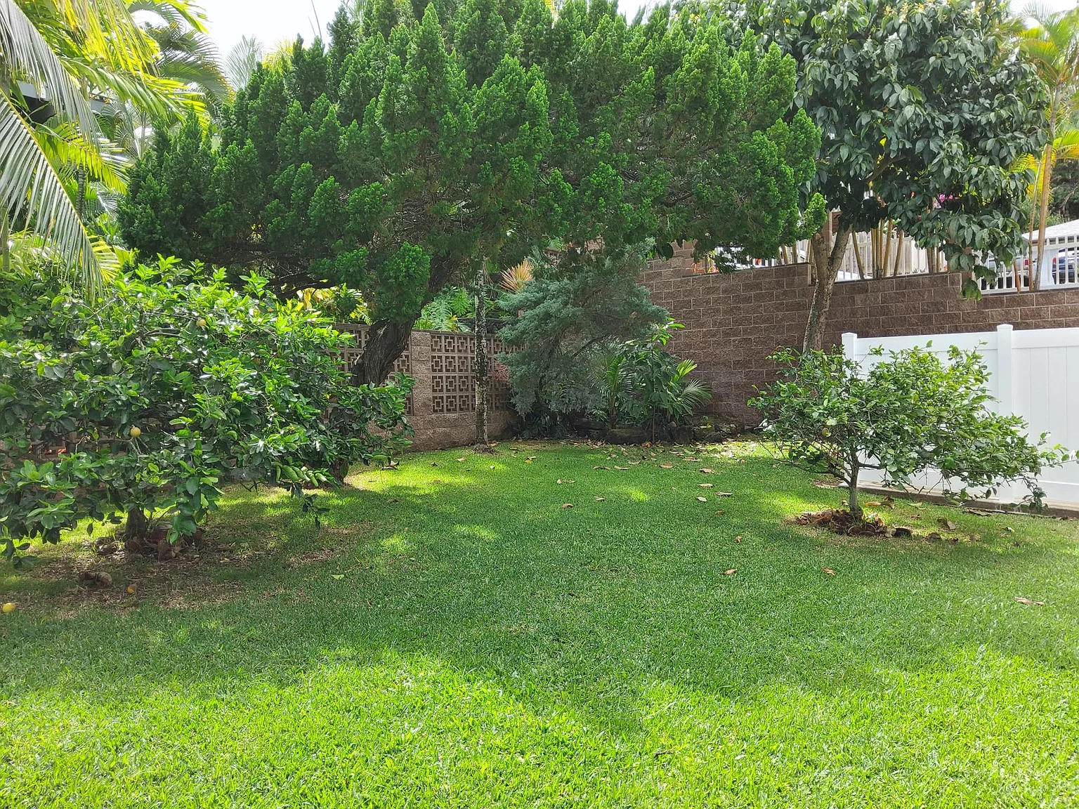 133 Puuohalai Pl, Kaneohe — Photo 4