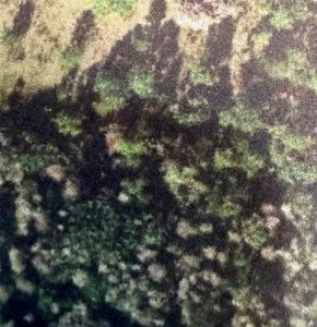 (Undisclosed Address), Polk City, FL, 33868
