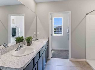 31013 Summer Sun Loop #1, Wesley Chapel, FL 33545