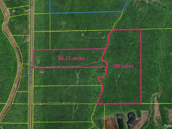 32954 Kingbird Ln, Carp Lake Township, MI 49953