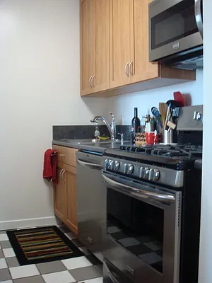 Rented by Cast Iron Real Estate | media 27