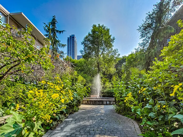 5 Elm Ave #217 — Photo 8