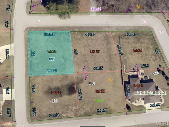 965 Alicia Way, Staunton, IL 62088