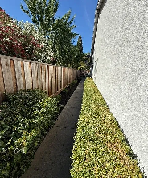 Side Yard Path