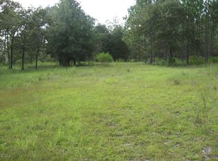 20245 Bottoms Ln, Altha, FL 32421